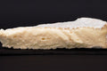 Brie de Meaux AOP demi-affiné