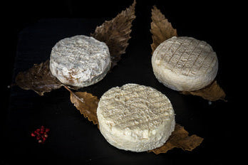 Mothais sur feuille AOP, chèvre au lait cru