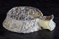Selle sur Serre, fromage de chèvre