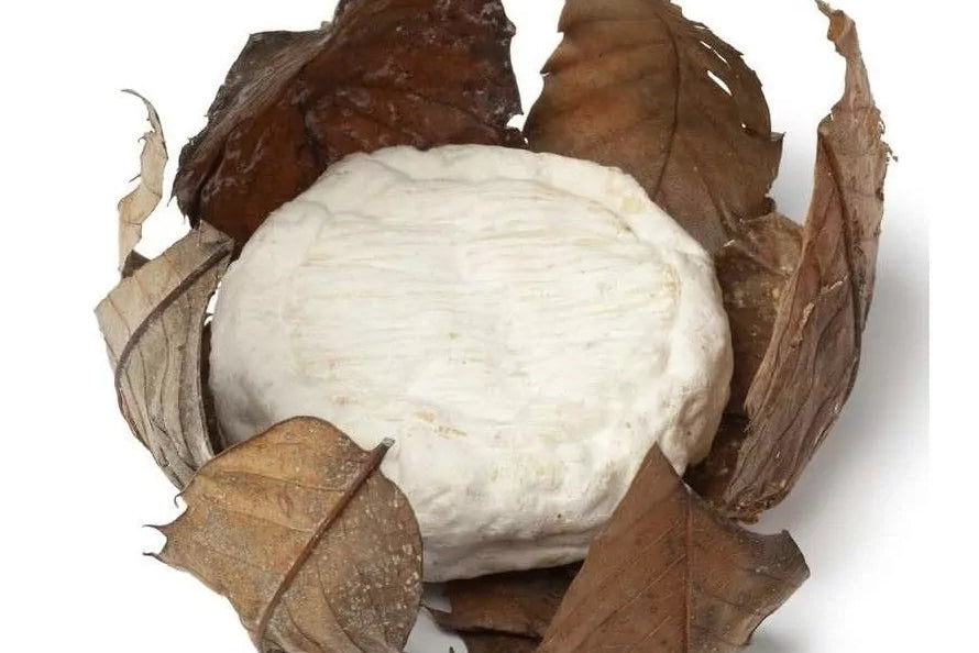 Banon, chèvre de Provence en feuille de châtaignier